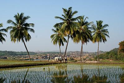 Mange (prie) ((aime))