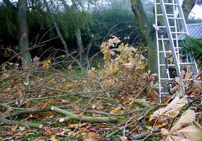 Quand jardinage rime avec élagage...C'est aussi courage, ...