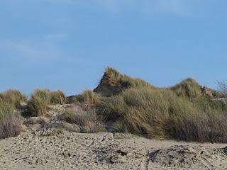 Escale en baie de Somme (2/2)