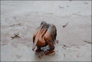 aujourd’hui, c’est l’avalanche… d’informations nuisibles