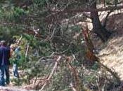 pré-affiches journées chemins 2012 sont diffuser sans modération