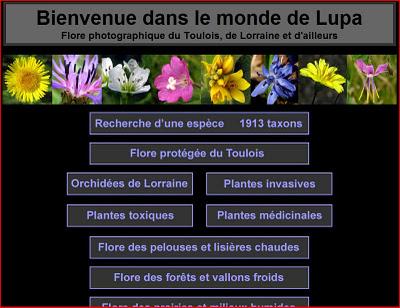 Pages d’accueil et d’entrée dans les sites du Monde de Lupa
