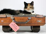 Clin d'oeil "valisette" pour amis bêtes