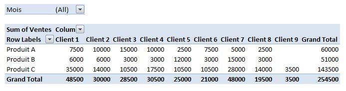 Tableaux croisés dynamiques dans Excel: La base