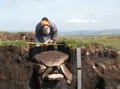 site préhistorique révèle être découverte majeure Angleterre