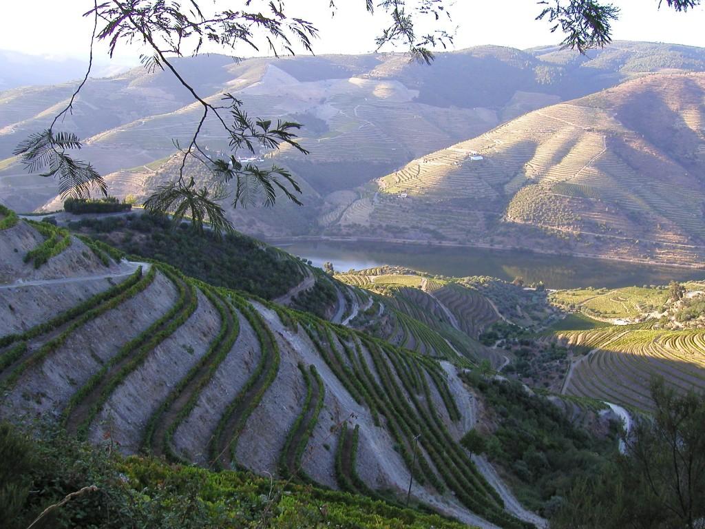 Douro vallée 1024x768 Un week end dans les vignes – La vallée du Douro au Portugal