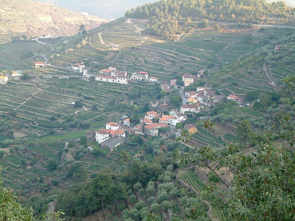 Douro 1024x768 Un week end dans les vignes – La vallée du Douro au Portugal