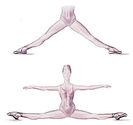 Quand les écarts de revenus furent enfin plafonnés