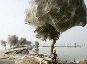 National Geographic Concours photographie 2011