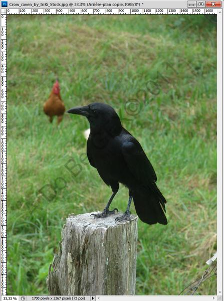 [CS5] Le contenu pris en compte