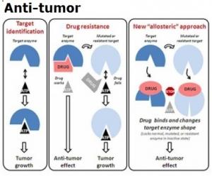 CANCERS INVASIFS: Nouvelle approche choc contre la prolifération tumorale  – Nature Medicine
