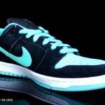 nike sb dunk low tiffany jpack 4 570x414 150x150 Nike SB Dunk Low ‘Tiffany J Pack’