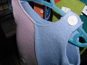 IMG_0005 - Copie (10)