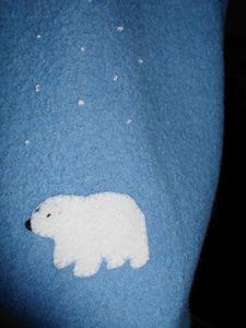 IMG_0003 - Copie (13)