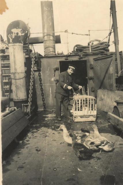 menu de la  mer, à voiles et à vapeur