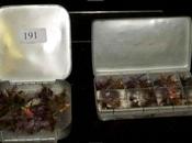 Pour amateurs d’antiquité vintage fishing gear auction france