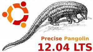 Ubuntu 12 04 precise pangola Ubuntu 12.04 – Canonical envisage d’arréter le support du noyau non PAE
