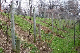 Un p’tit peu d’air nous f’ra pas d’mal