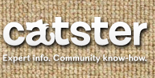 Catster
