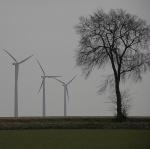 Projet de revitalisation des territoires grâce aux énergies renouvelables Projet de revitalisation des territoires grâce aux énergies renouvelables