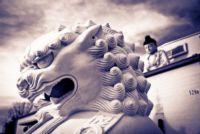 Avez vous demandé à votre avocat ?