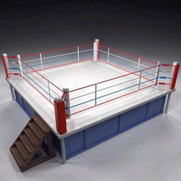 La présidentielle se déroule sur un ring, pas sous un chapiteau