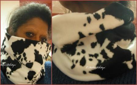 2011-11-116 - Col tube vache