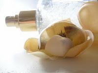 LES EXTRAITS AROMATIQUES DU BAR A GLOSS