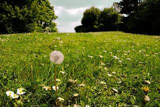 Un endroit tranquille avec Joshin Luce Bachoux