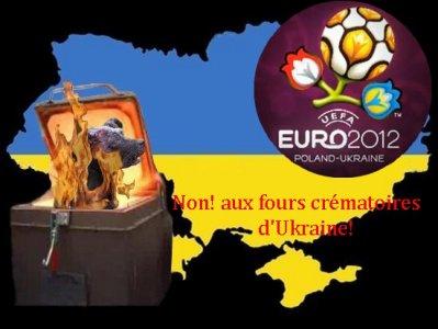 Blog de oasis54 : OASIS DE PAIX, Euro 2012 : l’ Ukraine extermine les animaux errants ( suite )