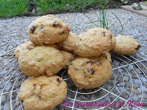 cookies-coco-cranberries--2-.JPG