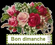 bon-dimanche1