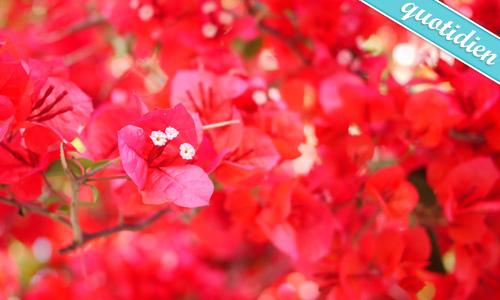 Couleurs de saison Couleurs de saison