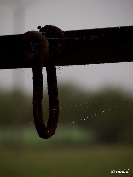 Campagne émergeant de la brume : série 3 JPEG - 75.4 ko