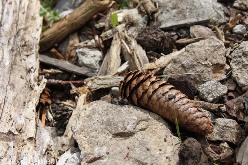 Le touriste de montagne en été… Aussois en Vanoise