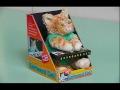 Keyboard Cat – The Toy!