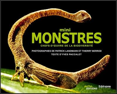 biodiversité,insectes,photographie,exposition