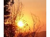 Être riche soi-même