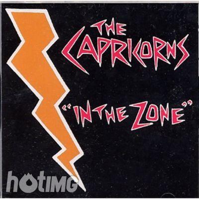 the capricorns - In The Zone (2001)