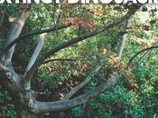 Totally Enormous Extinct Dinosaurs: Dream est...