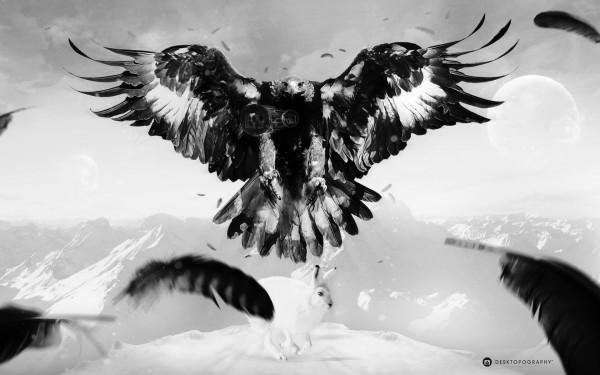 Desktopography2011 Stalking Prey 600x375 Wallpaper #27 – Desktopography