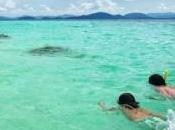 Grande Liquidation Voyages janvier 2012 Centre foires