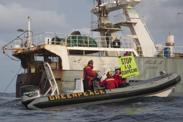 SOS Océans : être les témoins du crime de la pêche profonde