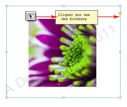 Redimensionner les blocs et les images dans InDesign CS5