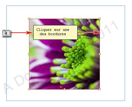 Redimensionner les blocs et les images dans InDesign CS5