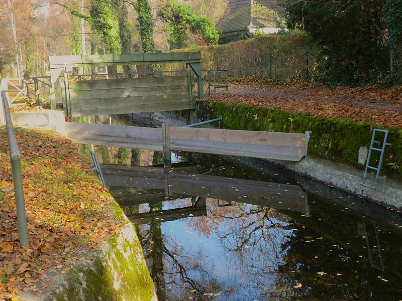 chemin automnal