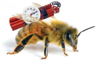 OGM,gironde,aquitaine,miel,apiculture,abeilles