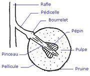 Humilité, j'écris ton nom !
