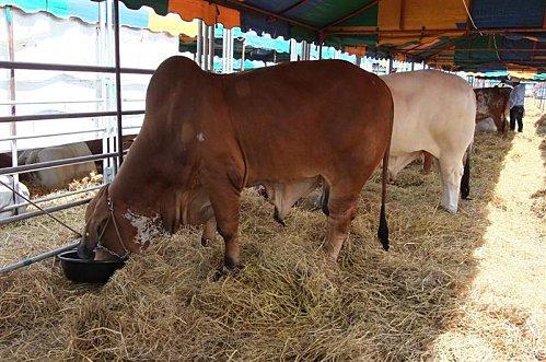 2011-11-19 23-40-00 - DSCF0533 (Medium)