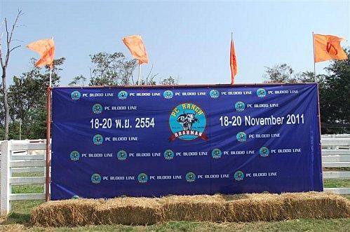 2011-11-19 23-43-13 - DSCF0542 (Medium)